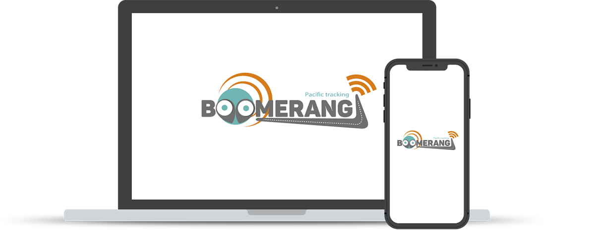 Boomerang
